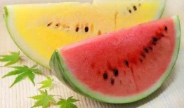 高端网红吃瓜,揭秘高端网红的吃瓜盛宴